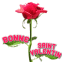 Rose rouge "Bonne Saint Valentin"