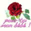 Une rose "Pour toi mon b�b�"