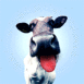 Vache qui l�che votre �cran