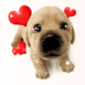 Chiot tout mignon demande des câlins