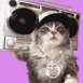 Chat gangsta sur un fond animé