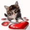 Ce chaton joue avec un coeur