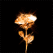 Rose en or massif