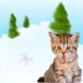 Chat moqueur esquivant des boules de neige