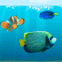 Un aquarium dans votre �cran