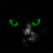 Chat apparaissant sur votre écran