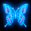 Papillon bleu s'illumine!