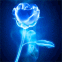 Rose bleue dans la brume
