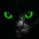 Chat myst�rieux aux yeux verts