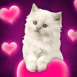 Chaton blanc amoureux