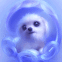 Chiot bleu trognon