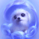 Chiot bleu trognon