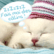 Chaton "Fais moi des câlins"