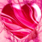 Coeur rose � l'encre de chine