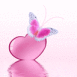 Papillon rose sur un coeur