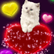 Chaton blanc sur coeurs multicolores