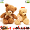 Oursons de la Saint-Valentin