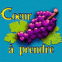 Grappe de "Coeur � prendre"