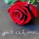 Une rose et un "Je t'aime"