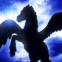 P�gase magnifique