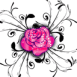 Rose violacée pétillante