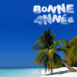 Bonne Année de la plage!