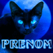 Chat myst�rieux au clair de lune