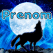 Loup qui hurle au clair de lune