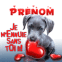 Chien "Je m'ennuie sans toi!"