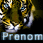 Tigre aux yeux per�ants