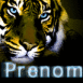 Tigre aux yeux per�ants