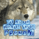 Loup furetant dans la for�t