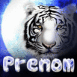 Tigre blanc dans la nuit