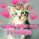 Chaton triste "Reste avec moi..."