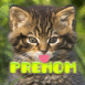 Mini chat l�cheur d'�cran