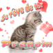 Chaton d'amour