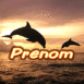 Dauphins au coucher du soleil
