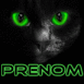 Chat noir dans votre �cran