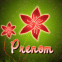 Fleur rouge n�on