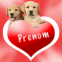 Deux chiots sur un coeur