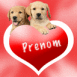 Deux chiots sur un coeur