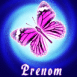 Papillon rose sur fond �lectrique