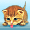 Chaton l�chouille �cran