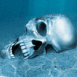 Cr�ne au fond des eaux