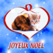 Coeur chien et chat noël