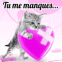 Chaton triste "Tu me manques"