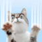 Chat qui griffe l'�cran
