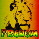 Lion rasta dessin� dans le sable