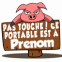 Cochon derri�re une pancarte "Pas touche!"