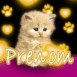 Chaton rouquin fluo jaune